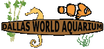 Dallas World Aquarium