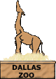 Dallas Zoo