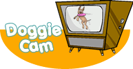 See our playroom now!
