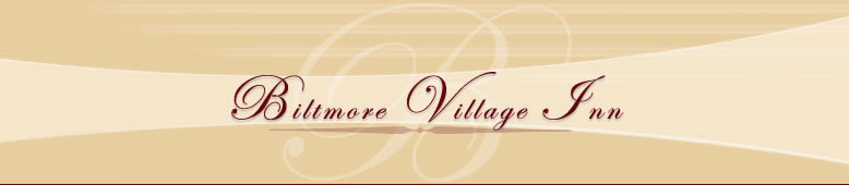 Biltmore Village Inn